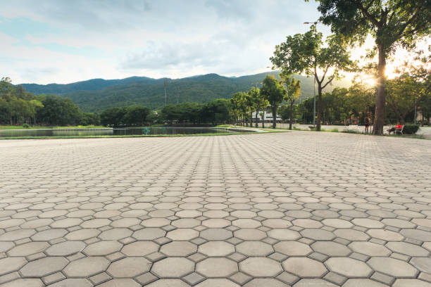 Best Commercial Driveway Pavers  in Sugar Land, TX
